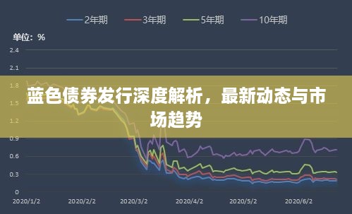 蓝色债券发行深度解析，最新动态与市场趋势