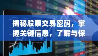 揭秘股票交易密码，掌握关键信息，了解与保护的重要性