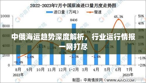 中俄海运趋势深度解析，行业运行情报一网打尽