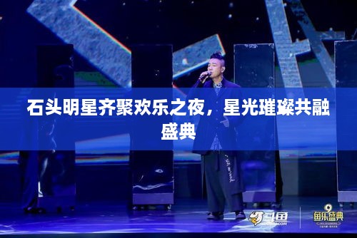 石头明星齐聚欢乐之夜，星光璀璨共融盛典