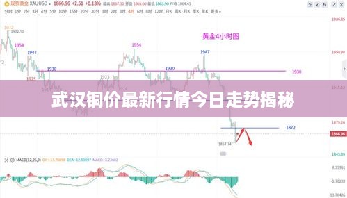 武汉铜价最新行情今日走势揭秘