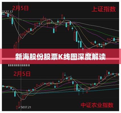 新海股份股票K线图深度解读