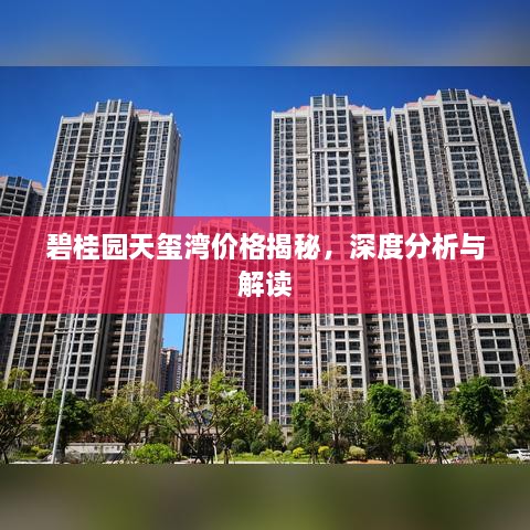 碧桂园天玺湾价格揭秘，深度分析与解读