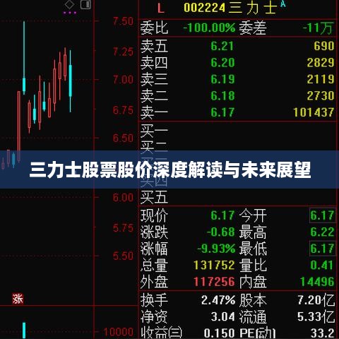 三力士股票股价深度解读与未来展望