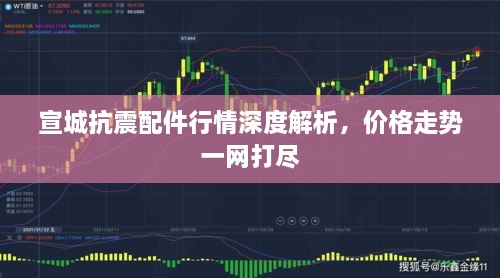 宣城抗震配件行情深度解析，价格走势一网打尽