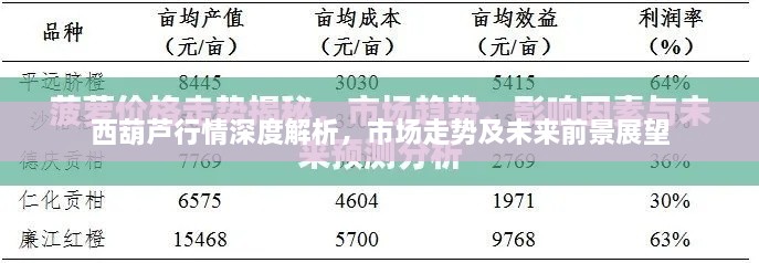 西葫芦行情深度解析，市场走势及未来前景展望