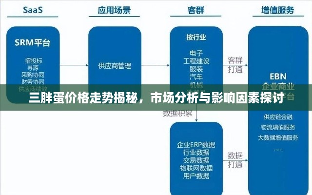 三胖蛋价格走势揭秘，市场分析与影响因素探讨