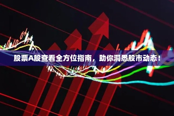 股票A股查看全方位指南，助你洞悉股市动态！