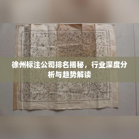 徐州标注公司排名揭秘，行业深度分析与趋势解读