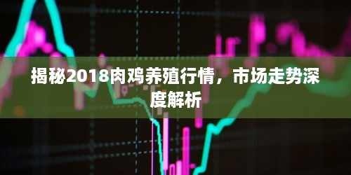 揭秘2018肉鸡养殖行情，市场走势深度解析