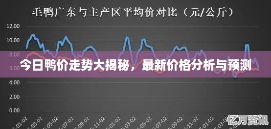 今日鸭价走势大揭秘，最新价格分析与预测