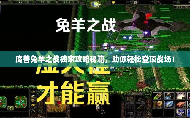 魔兽兔羊之战独家攻略秘籍，助你轻松登顶战场！