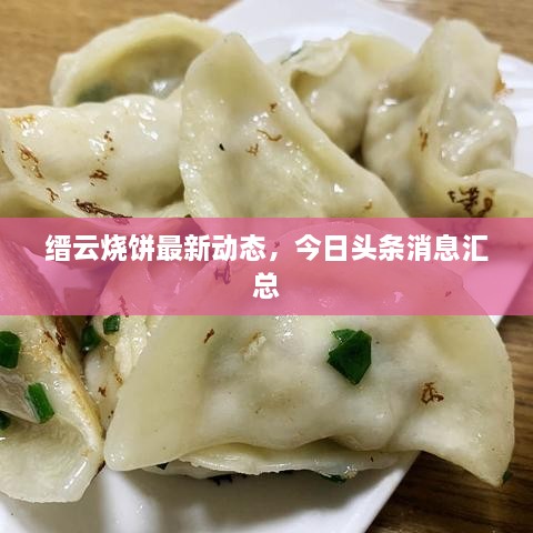 缙云烧饼最新动态，今日头条消息汇总