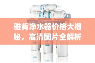 雅肯净水器价格大揭秘，高清图片全解析