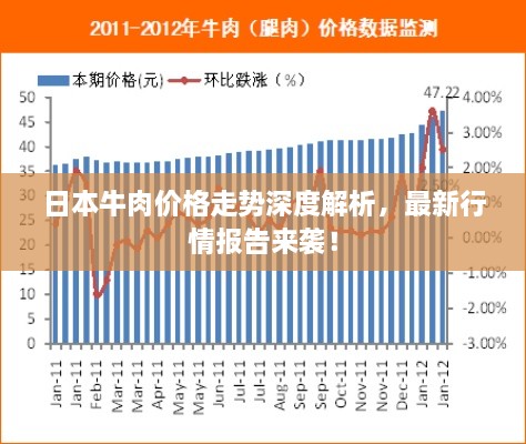 日本牛肉价格走势深度解析，最新行情报告来袭！