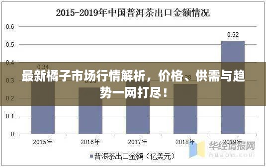 最新橘子市场行情解析，价格、供需与趋势一网打尽！