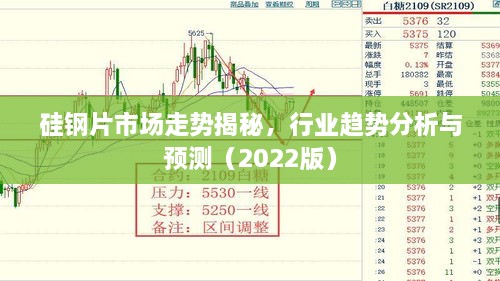 硅钢片市场走势揭秘，行业趋势分析与预测（2022版）