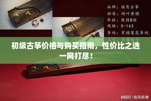 初级古筝价格与购买指南，性价比之选一网打尽！