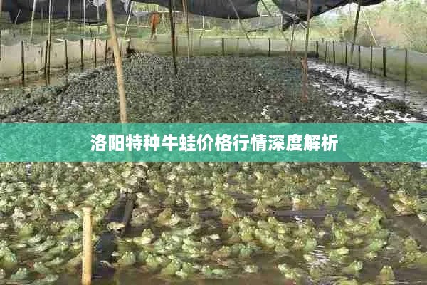 洛阳特种牛蛙价格行情深度解析