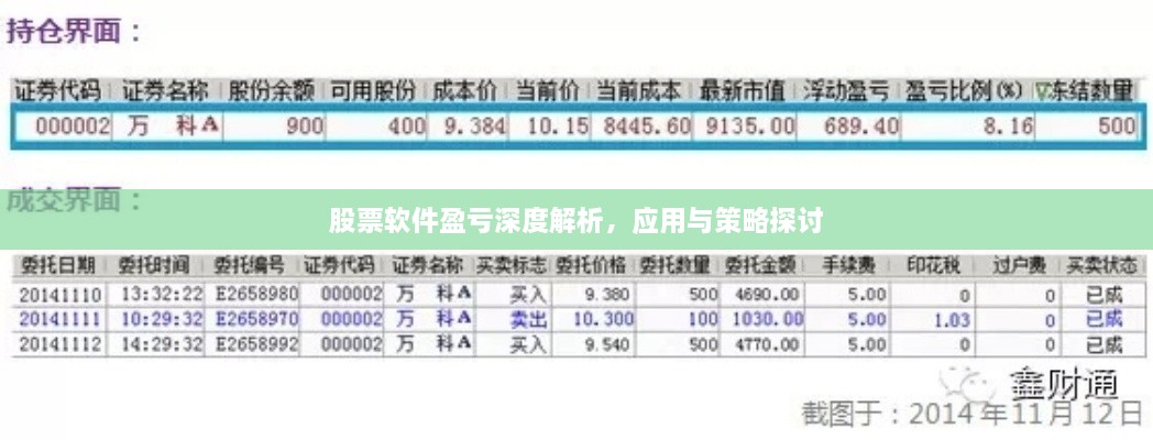 股票软件盈亏深度解析，应用与策略探讨