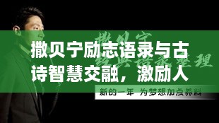 撒贝宁励志语录与古诗智慧交融，激励人心的语句与诗意人生