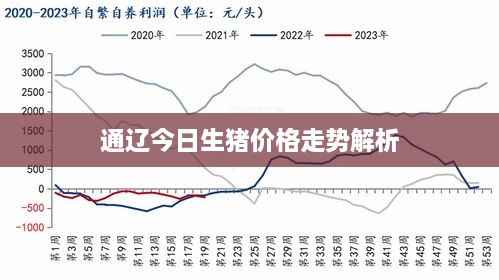 通辽今日生猪价格走势解析