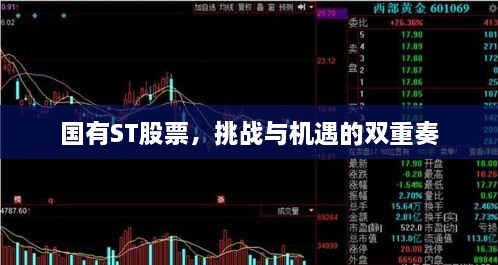 国有ST股票，挑战与机遇的双重奏