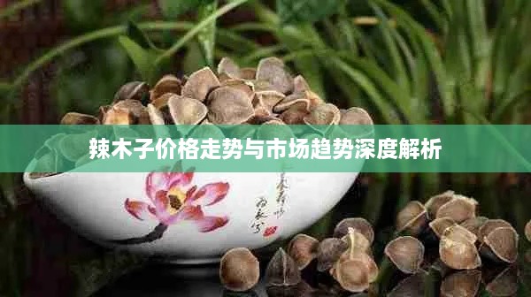 辣木子价格走势与市场趋势深度解析