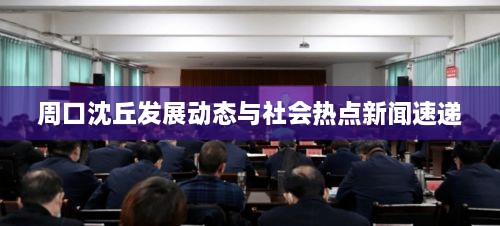 周口沈丘发展动态与社会热点新闻速递