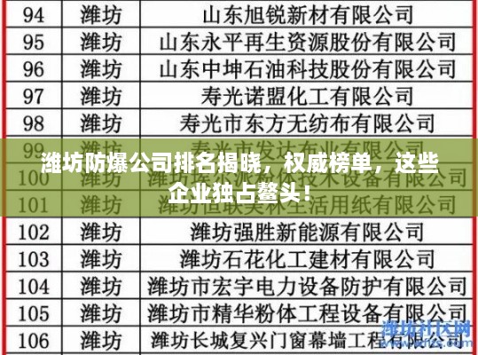 潍坊防爆公司排名揭晓，权威榜单，这些企业独占鳌头！