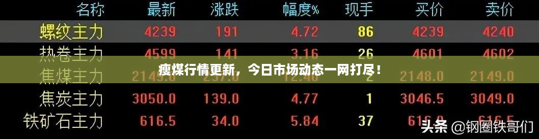 瘦煤行情更新，今日市场动态一网打尽！