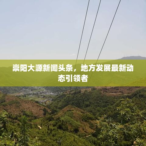 崇阳大源新闻头条，地方发展最新动态引领者