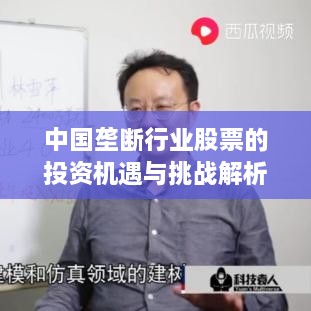 中国垄断行业股票的投资机遇与挑战解析