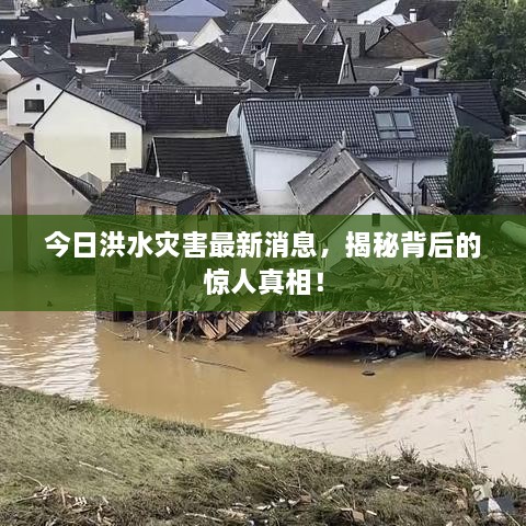 张皇失措