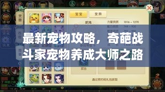 最新宠物攻略，奇葩战斗家宠物养成大师之路揭秘！