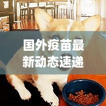 国外疫苗最新动态速递，今日消息一网打尽！