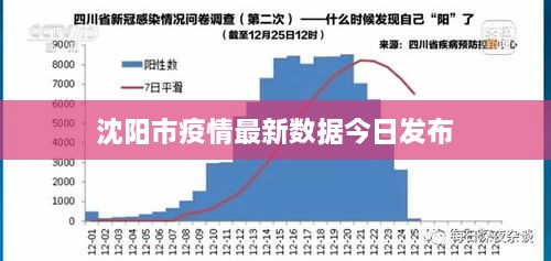 沈阳市疫情最新数据今日发布