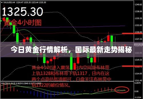 今日黄金行情解析，国际最新走势揭秘