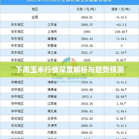 下周玉米行情深度解析与趋势预测