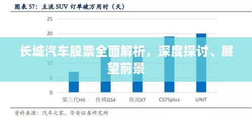 长城汽车股票全面解析，深度探讨、展望前景