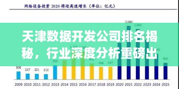 天津数据开发公司排名揭秘，行业深度分析重磅出炉！