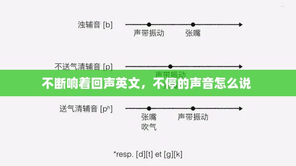 不断响着回声英文，不停的声音怎么说 