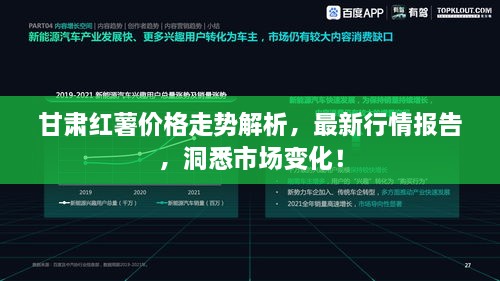 甘肃红薯价格走势解析，最新行情报告，洞悉市场变化！