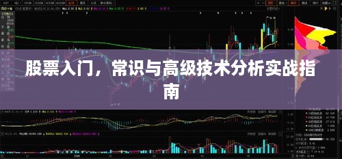 股票入门，常识与高级技术分析实战指南