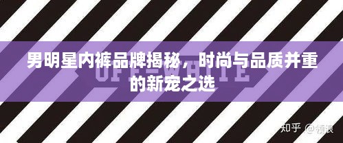 男明星内裤品牌揭秘，时尚与品质并重的新宠之选