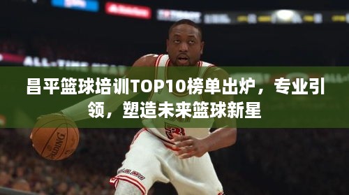 昌平篮球培训TOP10榜单出炉，专业引领，塑造未来篮球新星