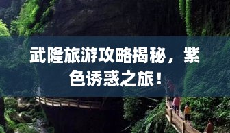 武隆旅游攻略揭秘，紫色诱惑之旅！