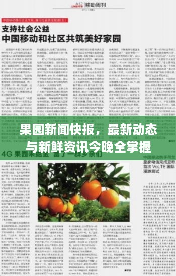 果园新闻快报，最新动态与新鲜资讯今晚全掌握