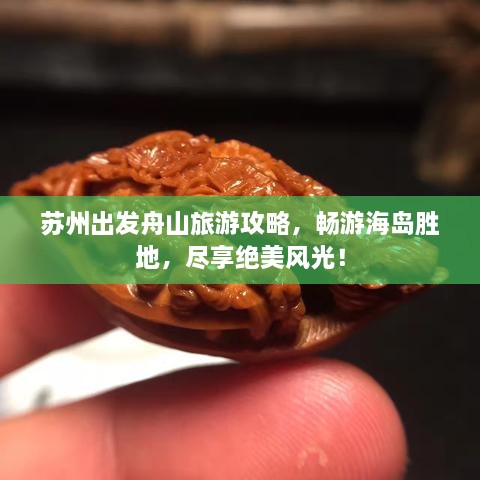 苏州出发舟山旅游攻略，畅游海岛胜地，尽享绝美风光！