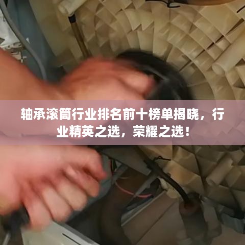 轴承滚筒行业排名前十榜单揭晓，行业精英之选，荣耀之选！